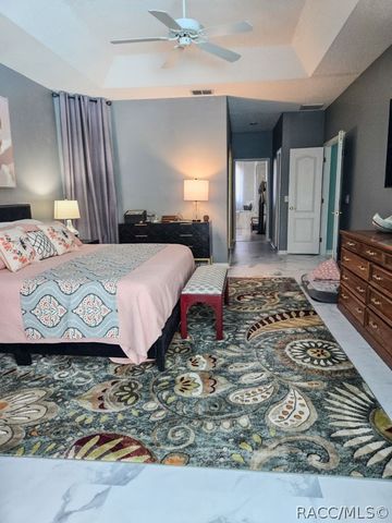 13 Sycamore Court W, Homosassa, FL 34446