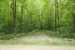 TBD S Lakeside Trail, Shepherd, MI 48883