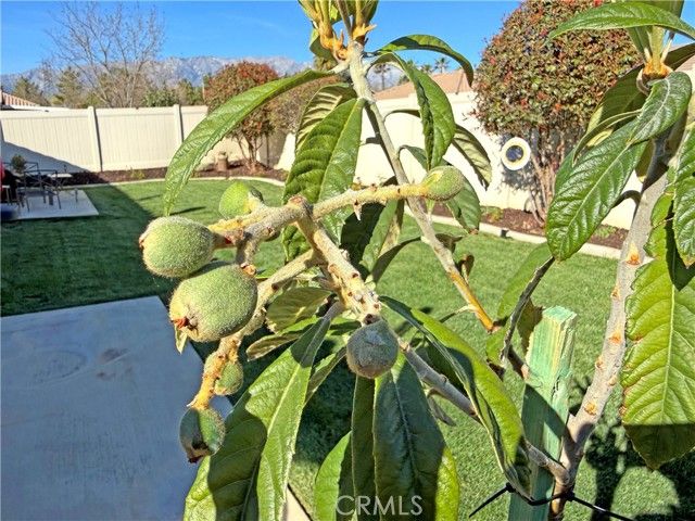 1334 Clover, Beaumont, CA 92223