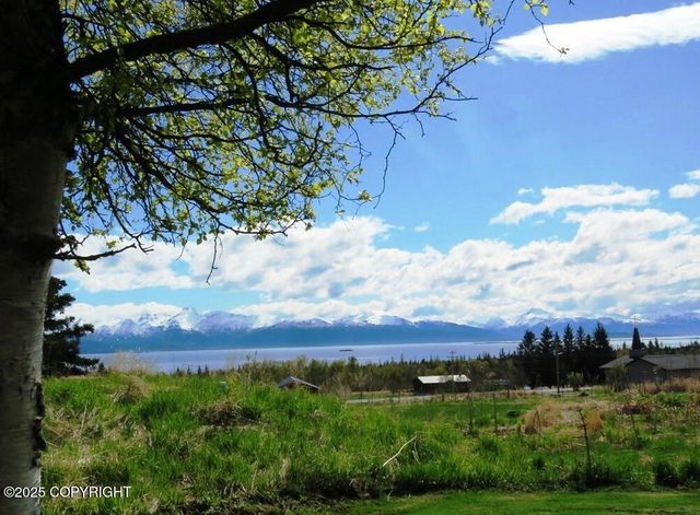 40055 Johnna Circle, Homer, AK 99603