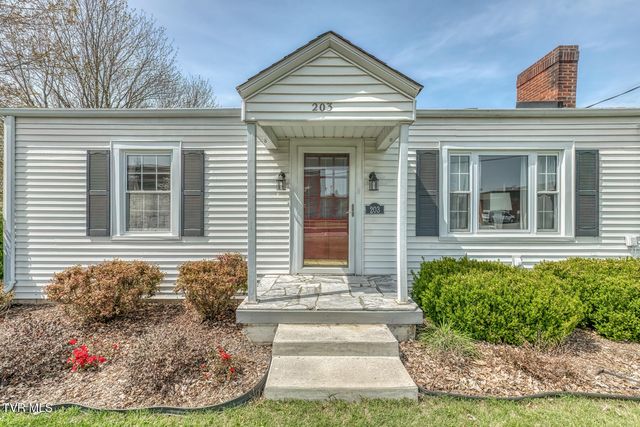 203 School Avenue, Blountville, TN 37617