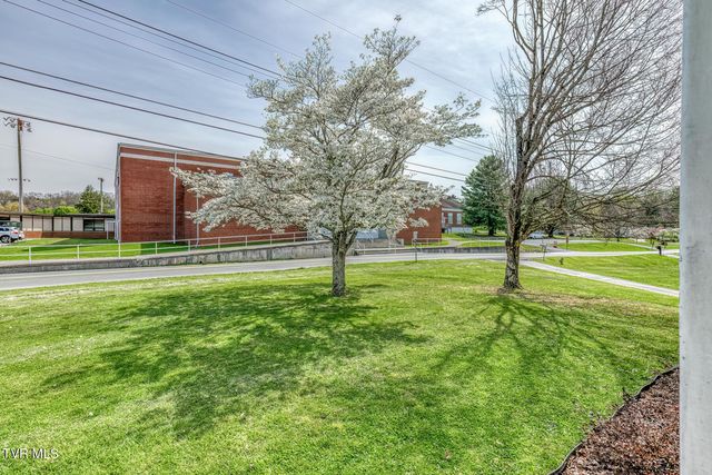 203 School Avenue, Blountville, TN 37617