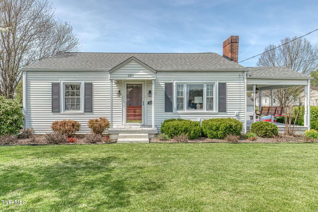 203 School Avenue, Blountville, TN 37617
