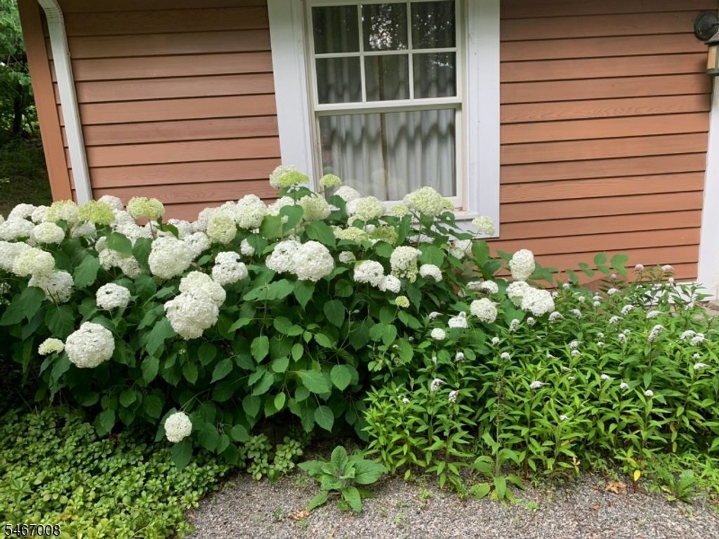183 Anthony Rd, Lebanon Twp., NJ 08826 — photo 4