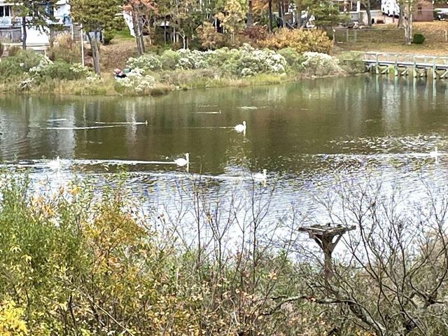 241 Seaward UNIT 241, Teaticket, MA 02536