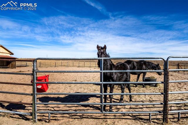 24225 Myers Road, Colorado Springs, CO 80928