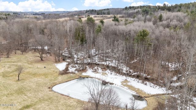 341 Schoonmaker Road, Delanson, NY 12053