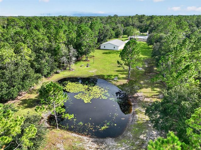 20963 E COLONIAL DRIVE, Christmas, FL 32709