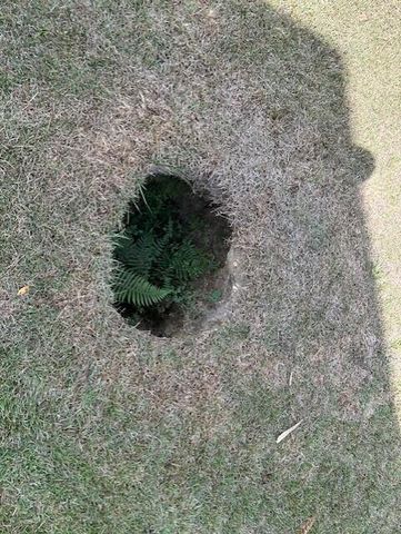 260 Norton Rd., Lumberton, MS 39455