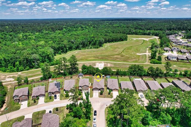 21402 Timberland Field Drive, Hockley, TX 77447