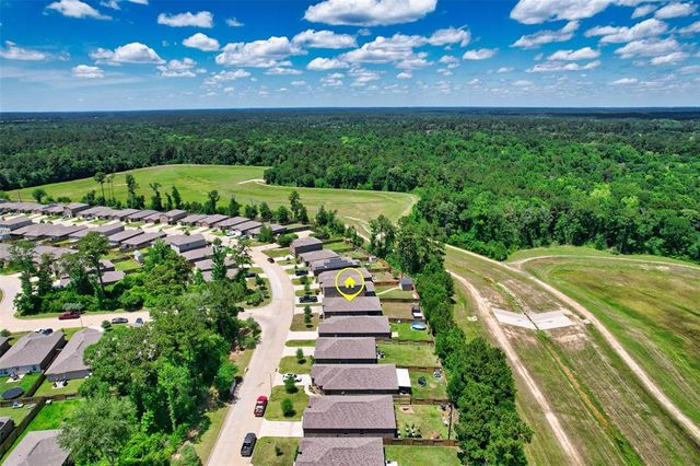 21402 Timberland Field Drive, Hockley, TX 77447
