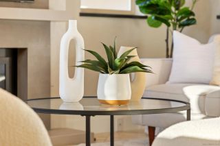 7355 Fay Avenue, La Jolla, CA 92037