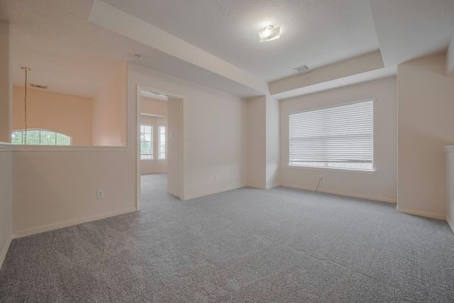 155 Rodeo Drive, Manvel, TX 77578