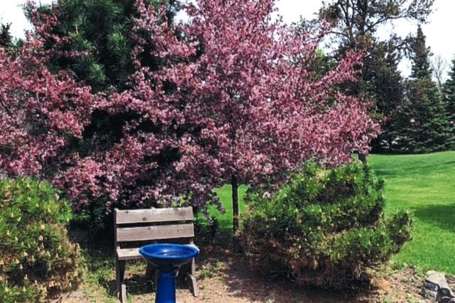 1908 KIMBERLY ROAD, Kronenwetter, WI 54455