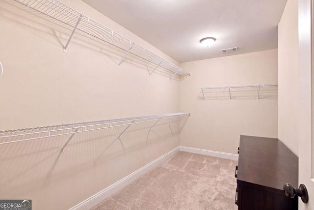 1308 Double Branches Lane, Dallas, GA 30132
