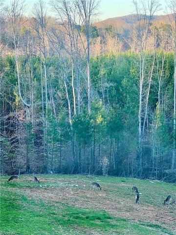 5280 Tabernacle School Road, Asheboro, NC 27205