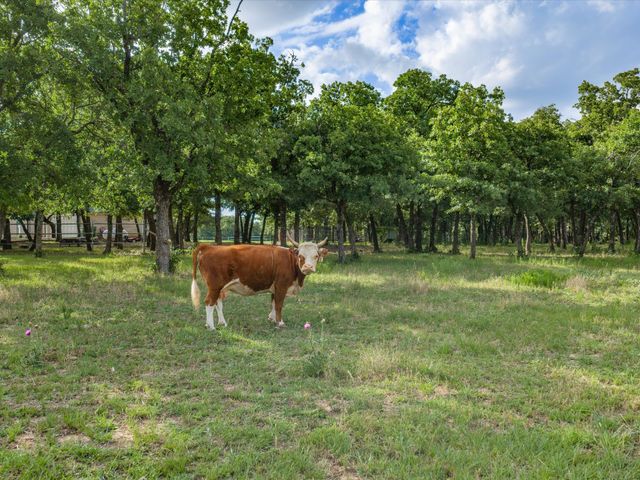 210 County Road 2696, Alvord, TX 76225