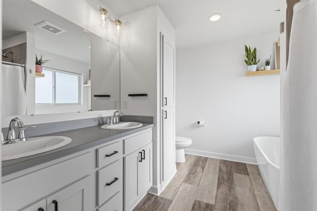 11556 Lakewood Court NE, Albertville, MN 55301