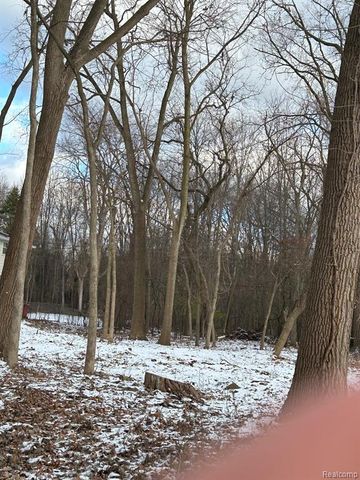 VL Leewright Avenue, Southfield, MI 48033