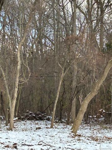 VL Leewright Avenue, Southfield, MI 48033