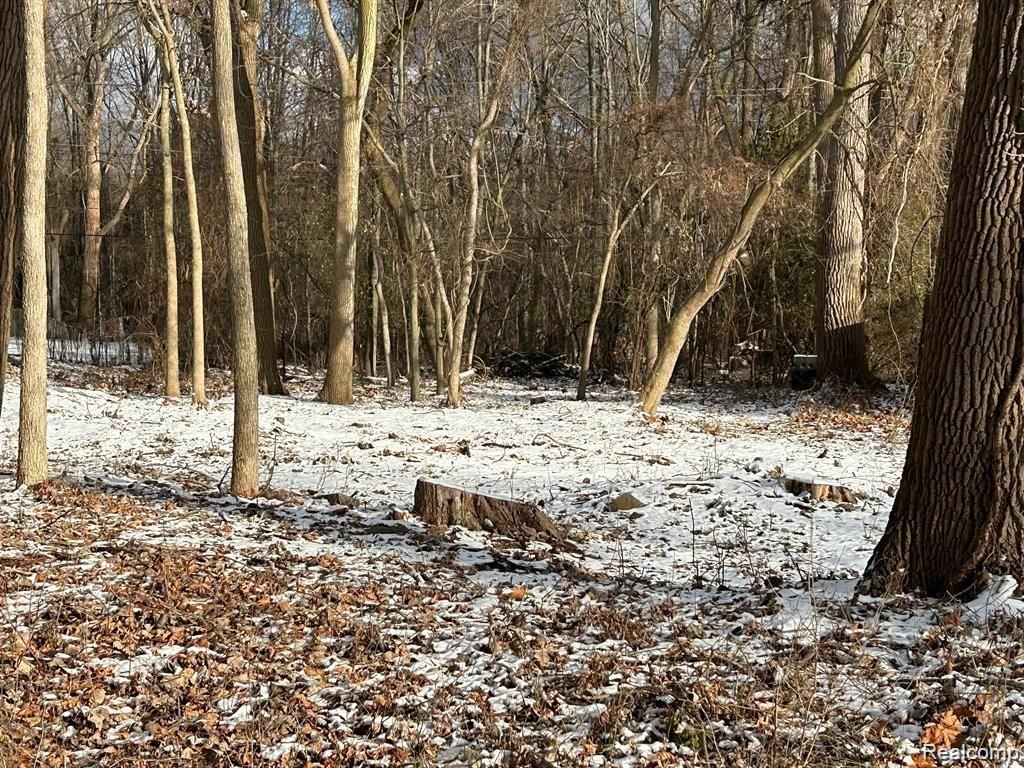 VL Leewright Avenue, Southfield, MI 48033