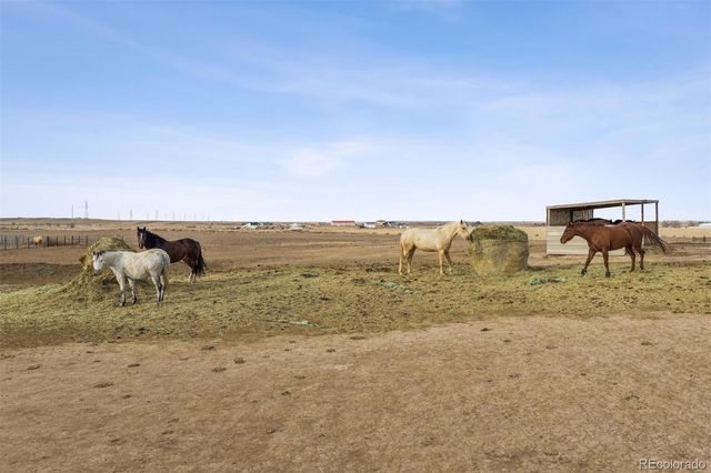 13013 County Road 86, Pierce, CO 80650