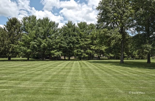 37W390 Linda Lane, Elgin, IL 60124