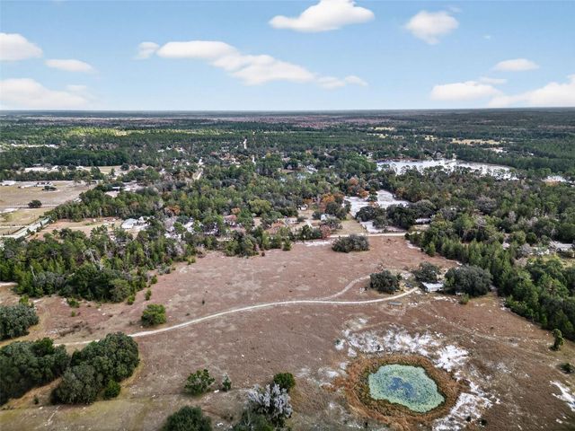 41901 PINE VALLEY DRIVE, Paisley, FL 32767