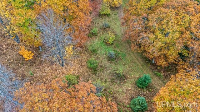 N3575 Williams Drive, Iron Mountain, MI 49801