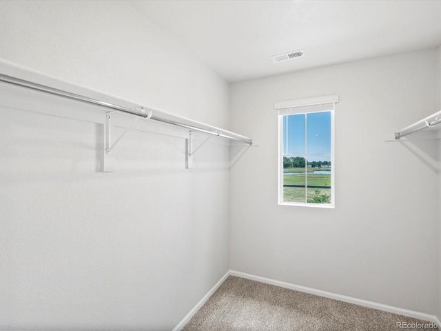 1616 Riverplace Drive 3, Windsor, CO 80550
