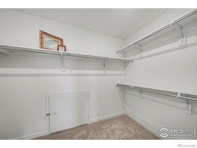 5548 Runge Court, Timnath, CO 80547