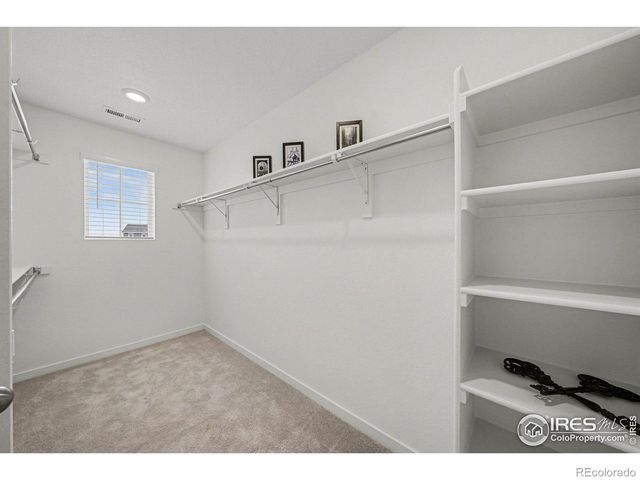 5548 Runge Court, Timnath, CO 80547