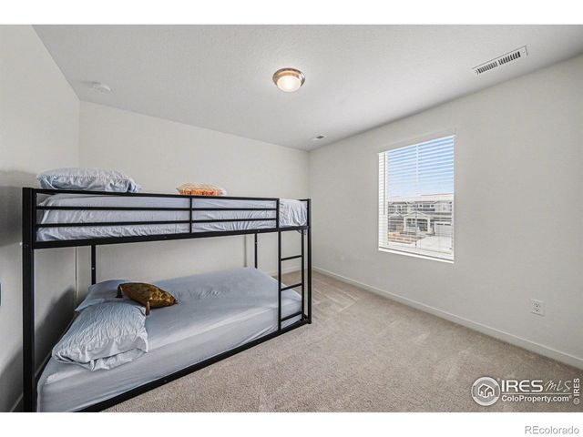 5548 Runge Court, Timnath, CO 80547
