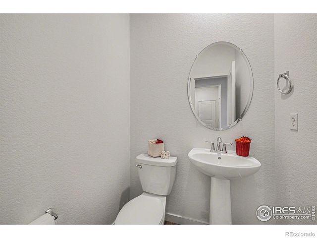 5548 Runge Court, Timnath, CO 80547