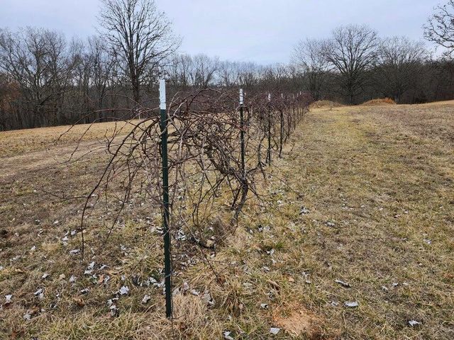 31312 95-146, Norwood, MO 65717