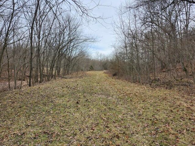 31312 95-146, Norwood, MO 65717