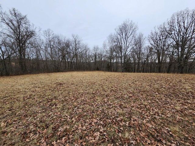 31312 95-146, Norwood, MO 65717