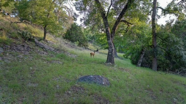 7680 NW White Oak Rd, Kerrville, TX 78028