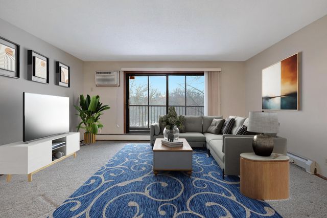 10451 Greenbrier Road 211, Minnetonka, MN 55305