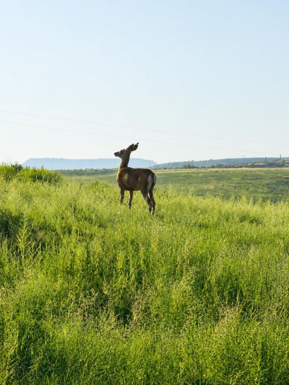 TBD 3 Road 54, Ten Sleep, WY 82442 photo 5