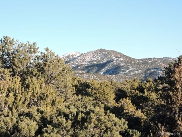 Lot 9 Cedar Avenue, Blanca, CO 81123