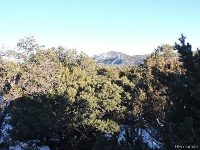 Lot 9 Cedar Avenue, Blanca, CO 81123