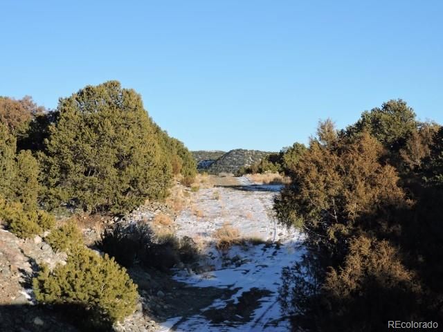 Lot 9 Cedar Avenue, Blanca, CO 81123
