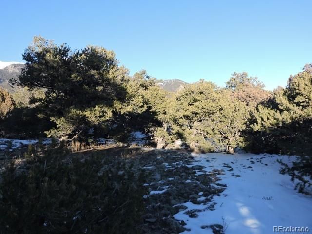 Lot 9 Cedar Avenue, Blanca, CO 81123