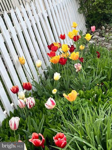 2201 HARVARD DR, Alexandria, VA 22307