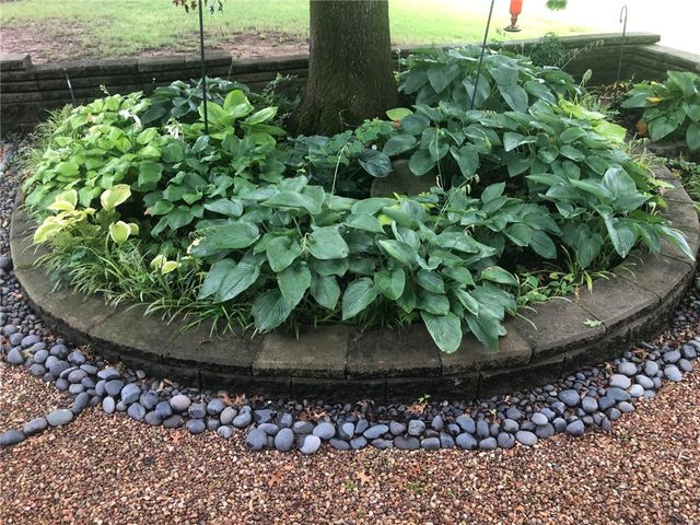 5060 Brewster Street, Springdale, AR 72764