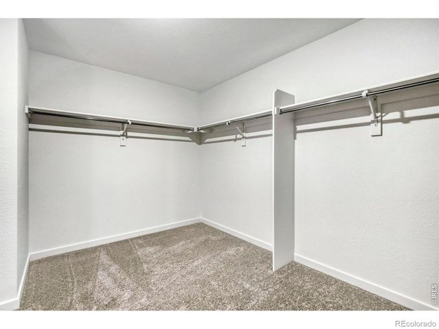 6175 Drum Place, Loveland, CO 80538