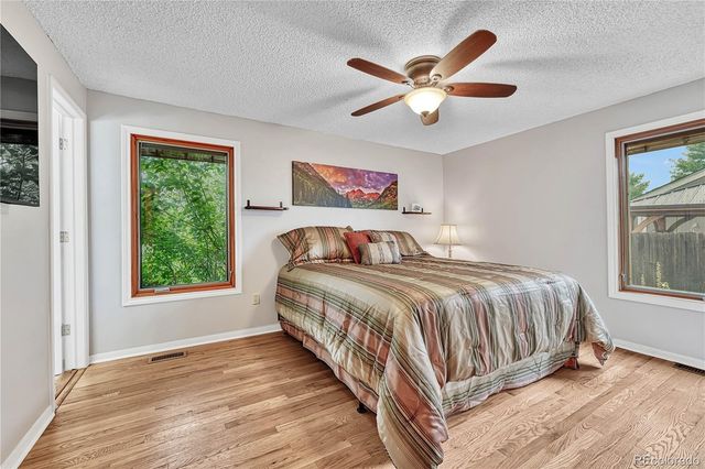 473 S Larkspur Drive, Castle Rock, CO 80104
