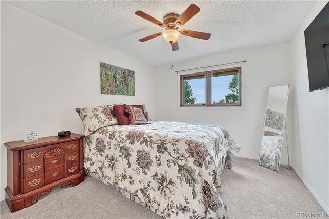 473 S Larkspur Drive, Castle Rock, CO 80104