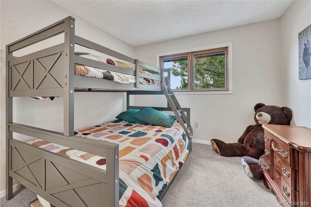 473 S Larkspur Drive, Castle Rock, CO 80104